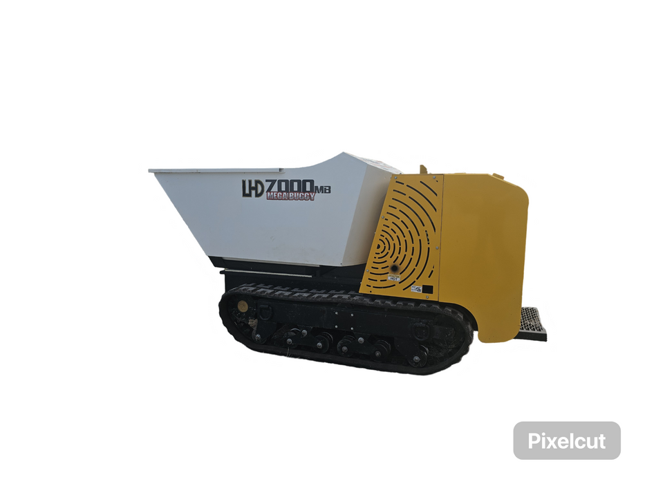 Georgia Buggy On Tracks W/ Side Pump