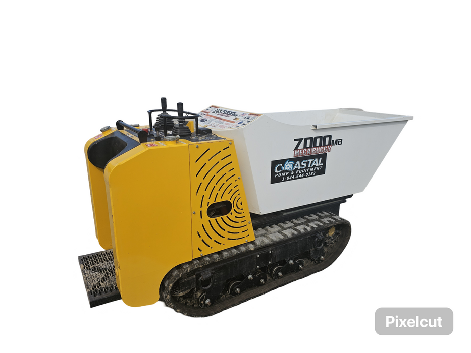 Georgia Buggy On Tracks W/ Side Pump